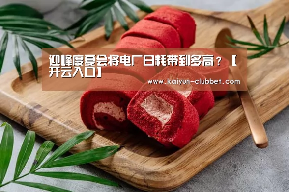 迎峰度夏会将电厂日耗带到多高?【开云入口】(图1) 开云推荐